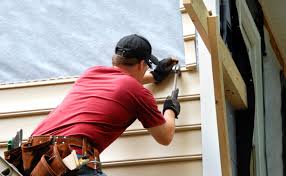 Best Siding Removal and Disposal  in Mount Dora, FL